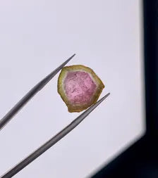 Watermelon Tourmaline Slice from Afghanistan - 7.75 Carats