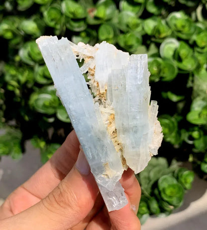 Natural Aquamarine Crystals, Stepwise Terminated Mineral Specimen, Pakistan