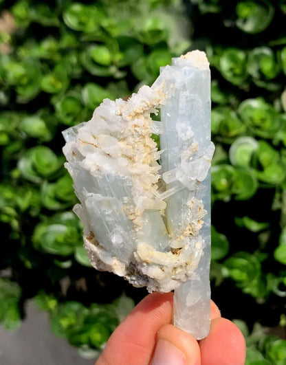 Natural Aquamarine Crystals, Stepwise Terminated Mineral Specimen, Pakistan