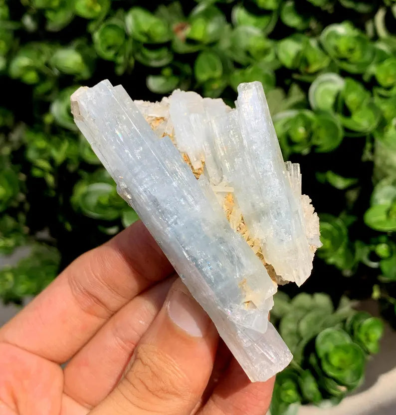 Natural Aquamarine Crystals, Stepwise Terminated Mineral Specimen, Pakistan