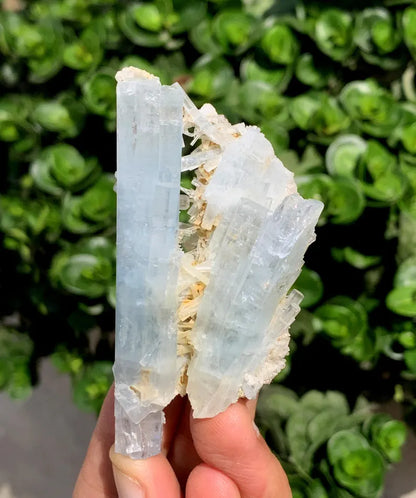 Natural Aquamarine Crystals, Stepwise Terminated Mineral Specimen, Pakistan