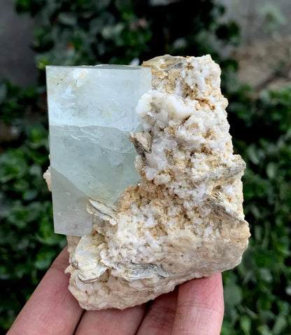 Natural Aquamarine Specimen: Feldspar & Muscovite, Pakistan (336 Grams