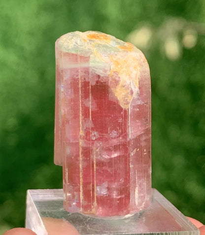 Natural Elbaite Tourmaline ( Rubellite ) Crystal From Afghanistan - 71.60 Carats Natural Elbaite Tourmaline ( Rubellite ) Crystal From Afghanistan - 71.60 Carats