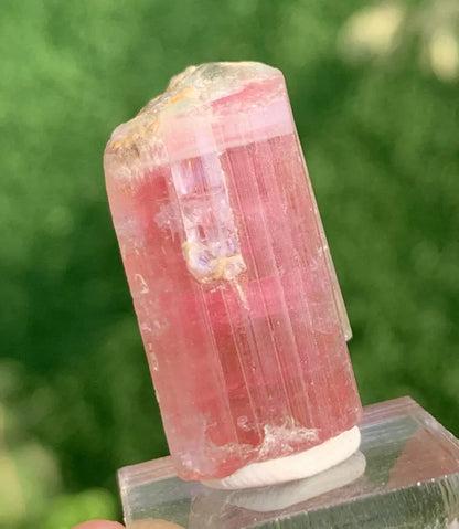 Natural Elbaite Tourmaline ( Rubellite ) Crystal From Afghanistan - 71.60 Carats Natural Elbaite Tourmaline ( Rubellite ) Crystal From Afghanistan - 71.60 Carats