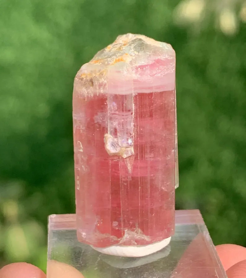 Natural Elbaite Tourmaline ( Rubellite ) Crystal From Afghanistan - 71.60 Carats Natural Elbaite Tourmaline ( Rubellite ) Crystal From Afghanistan - 71.60 Carats