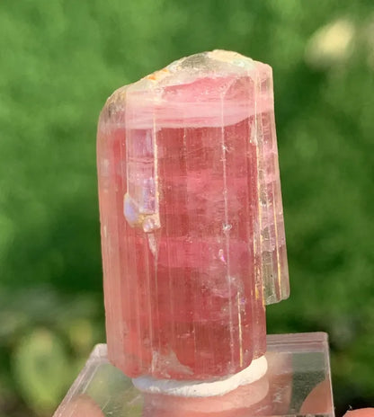 Natural Elbaite Tourmaline ( Rubellite ) Crystal From Afghanistan - 71.60 Carats Natural Elbaite Tourmaline ( Rubellite ) Crystal From Afghanistan - 71.60 Carats