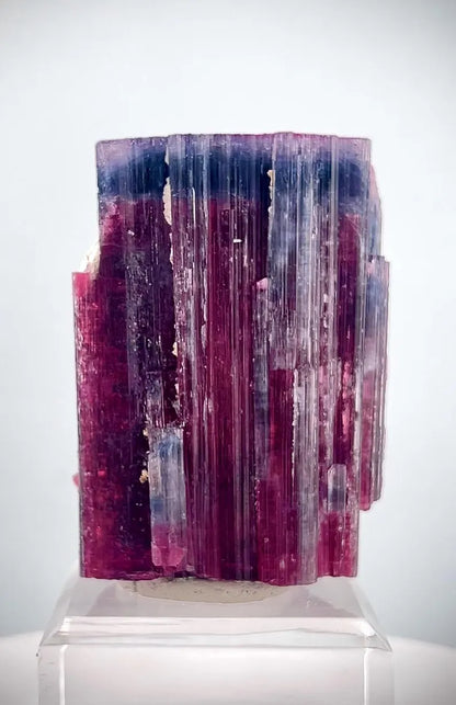 Blue/Purple Cap Deep Pink Tourmaline Crystal from Afghanistan - 253 Gram