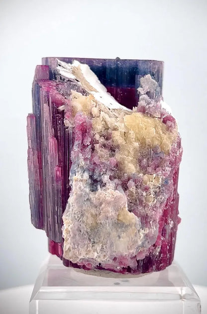 Blue/Purple Cap Deep Pink Tourmaline Crystal from Afghanistan - 253 Gram