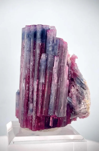 Blue/Purple Cap Deep Pink Tourmaline Crystal from Afghanistan - 253 Gram