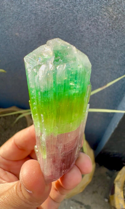 Tourmaline Crystal from Afghanistan - 85 Grams