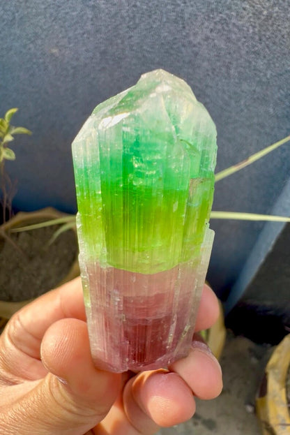 Tourmaline Crystal from Afghanistan - 85 Grams