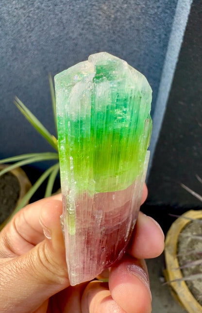 Tourmaline Crystal from Afghanistan - 85 Grams