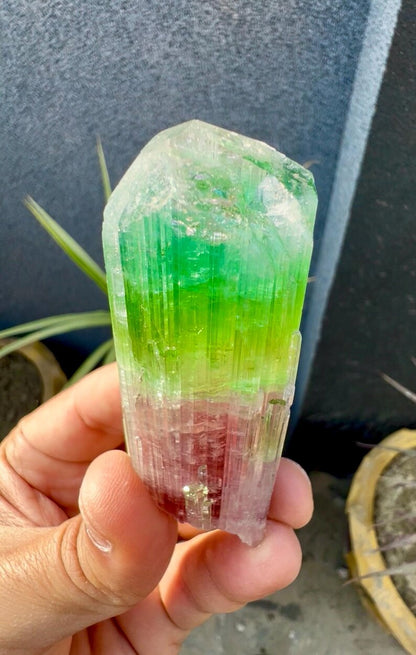 Tourmaline Crystal from Afghanistan - 85 Grams
