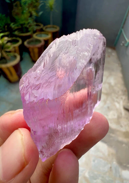Kunzite Crystal from Afghanistan - 44 Grams