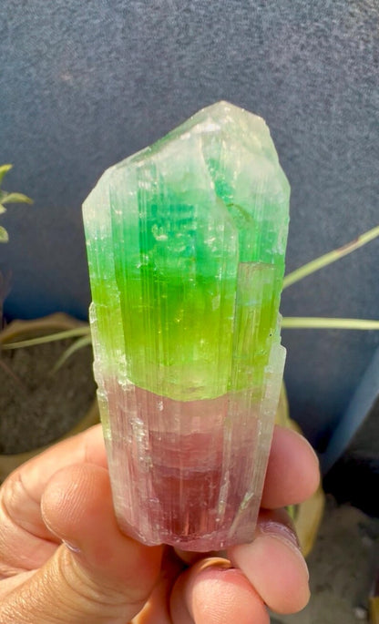 Tourmaline Crystal from Afghanistan - 85 Grams