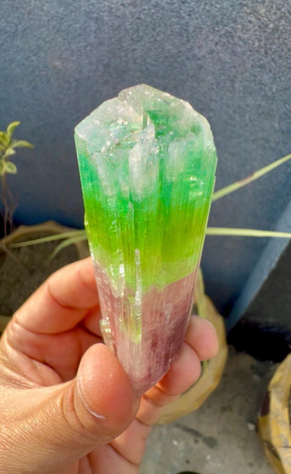 Tourmaline Crystal from Afghanistan - 85 Grams