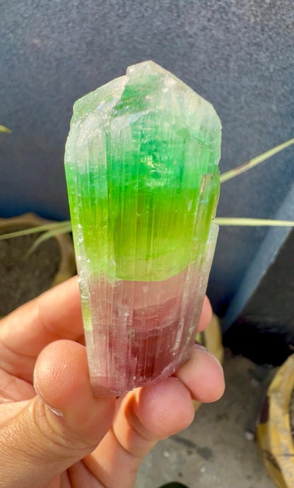 Tourmaline Crystal from Afghanistan - 85 Grams