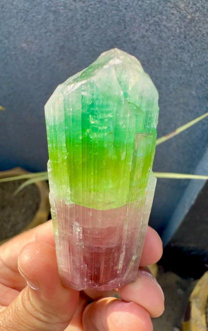 Tourmaline Crystal from Afghanistan - 85 Grams