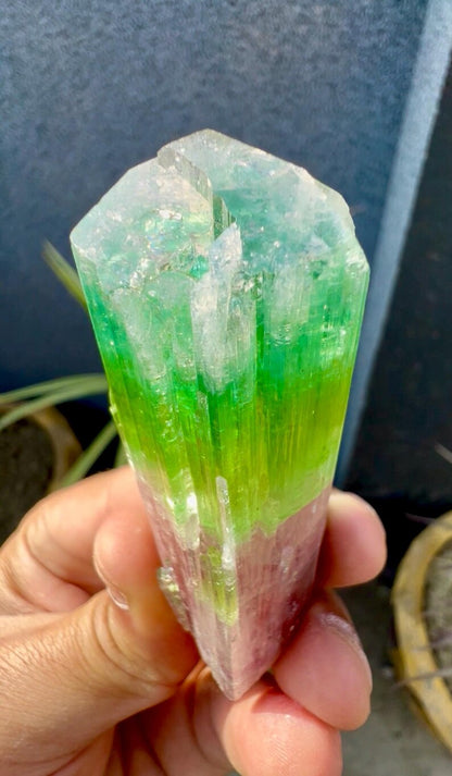 Tourmaline Crystal from Afghanistan - 85 Grams