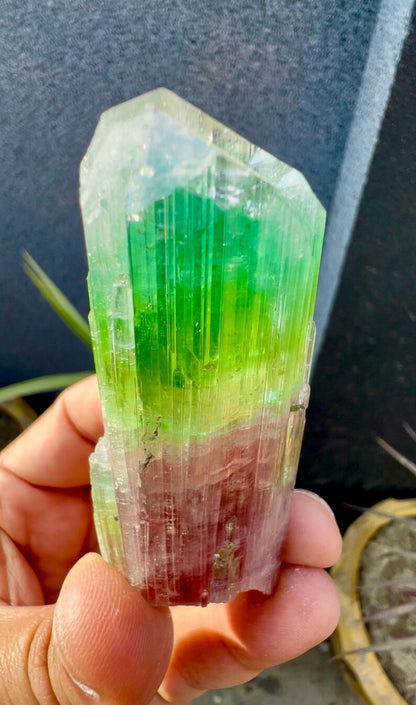 Tourmaline Crystal from Afghanistan - 85 Grams