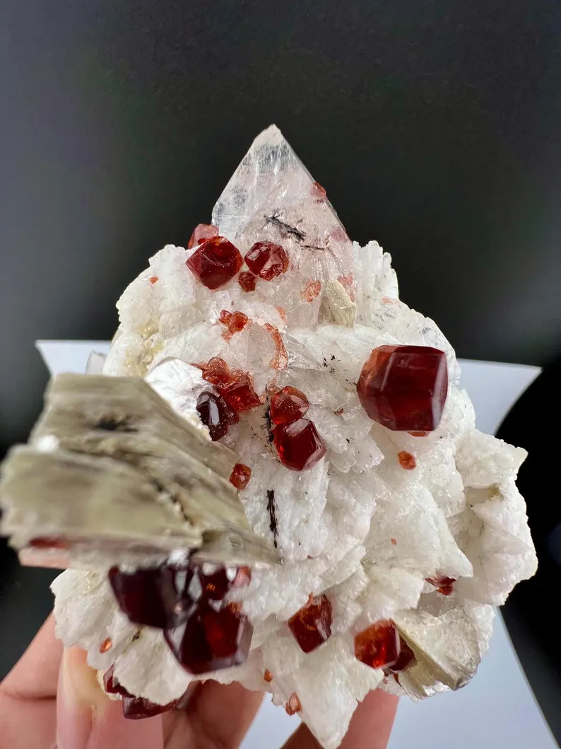 Red Garnet Crystals with Quartz and Mica Specimen from Pakistan - 176 Grams