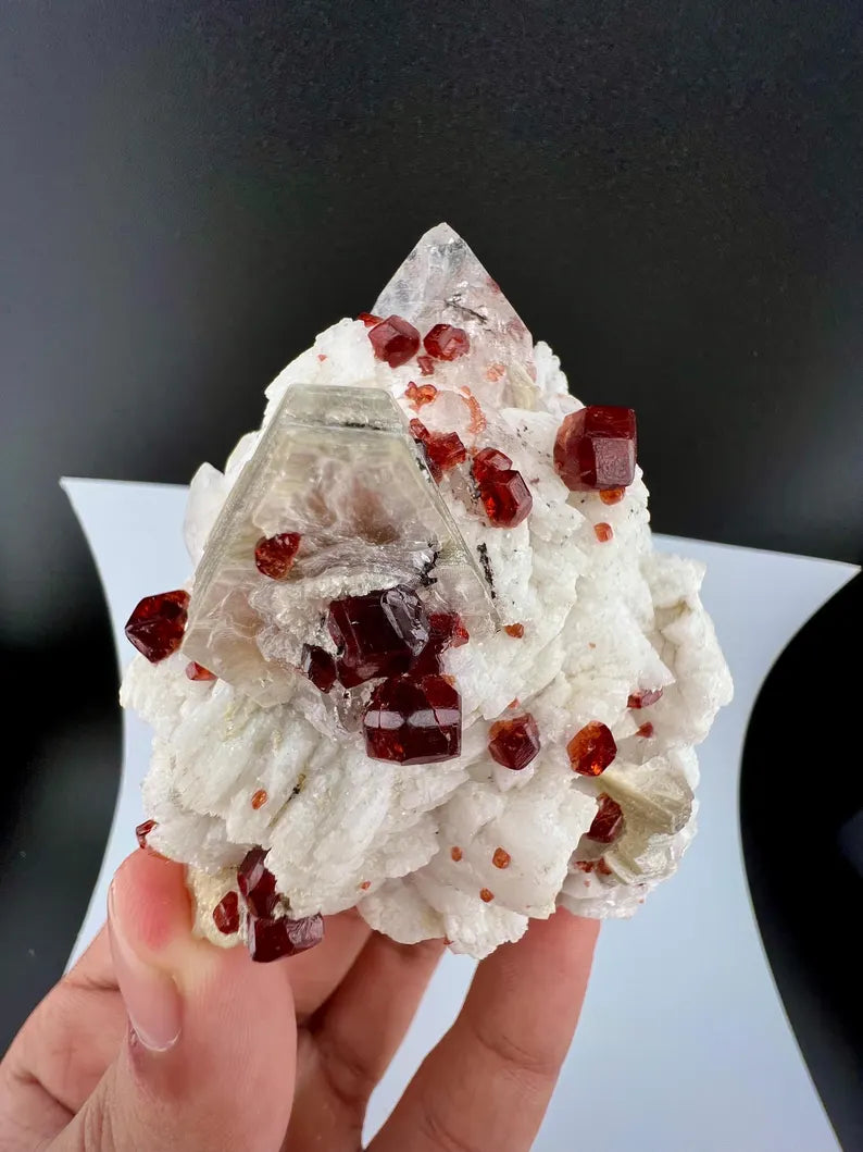 Red Garnet Crystals with Quartz and Mica Specimen from Pakistan - 176 Grams