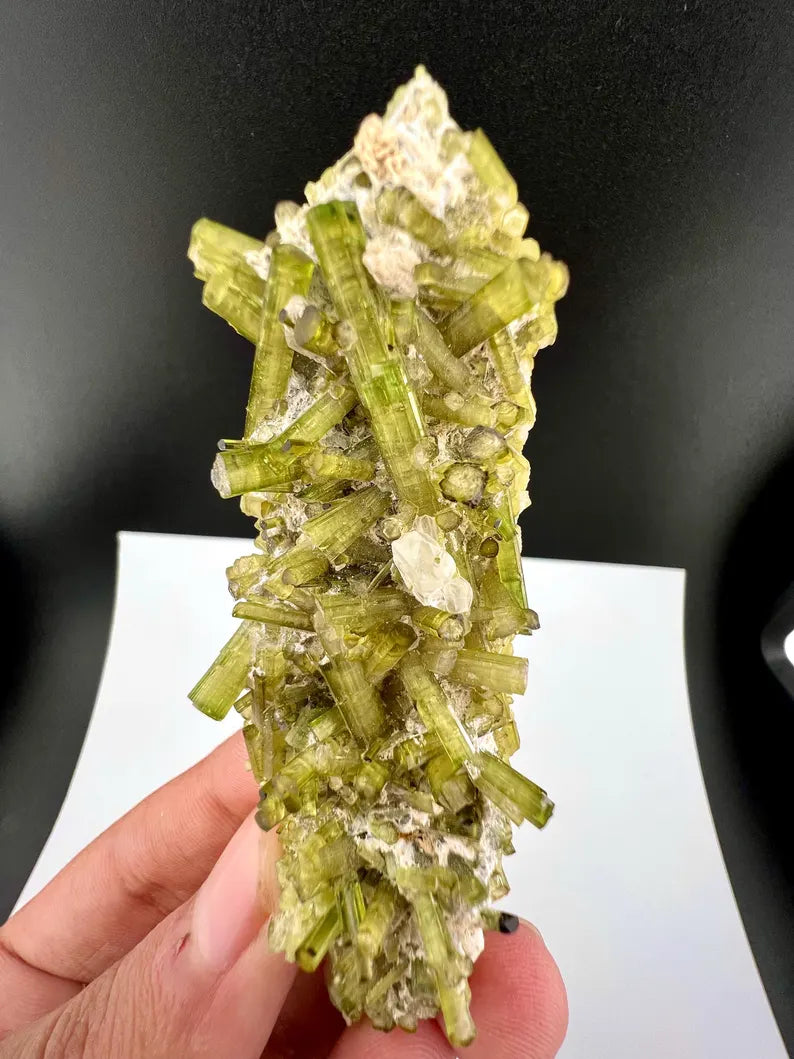Green Tourmaline Crystals Specimen from Pakistan - 43 Grams
