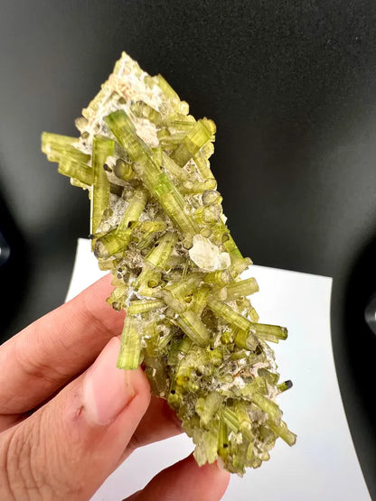 Green Tourmaline Crystals Specimen from Pakistan - 43 Grams