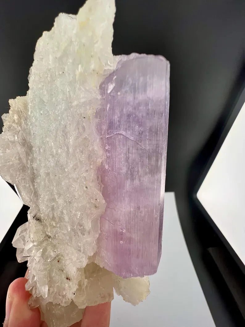 Kunzite with Cleavelandite Albite And Quartz Specimen from Afghanistan - 606 Grams