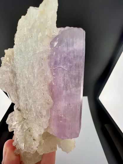 Kunzite with Cleavelandite Albite And Quartz Specimen from Afghanistan - 606 Grams