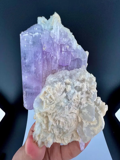 Kunzite with Cleavelandite Albite And Quartz Specimen from Afghanistan - 606 Grams
