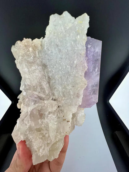 Kunzite with Cleavelandite Albite And Quartz Specimen from Afghanistan - 606 Grams