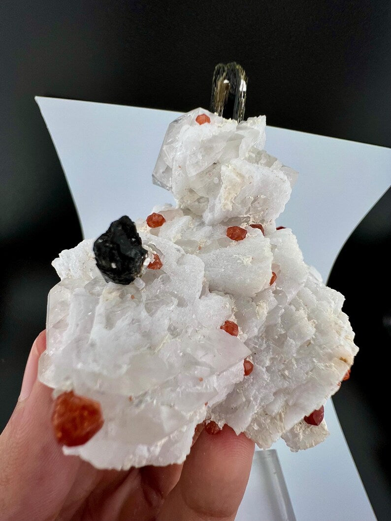 Garnet with Tourmaline Specimen from Afghanistan - 197 Gram