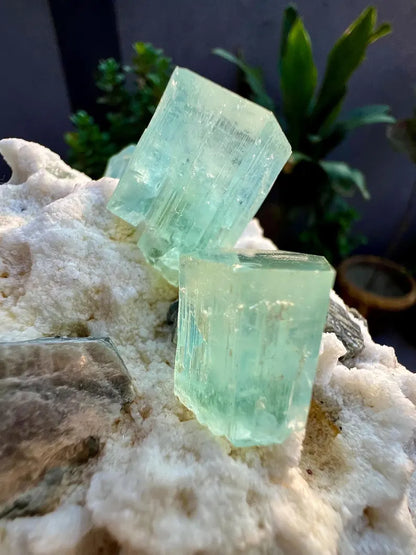 Blue Aquamarine Crystals with Mica and Albite from Pakistan - 680 Grams
