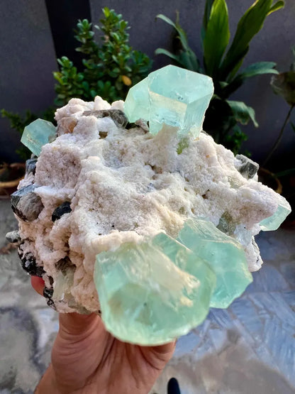 Blue Aquamarine Crystals with Mica and Albite from Pakistan - 680 Grams