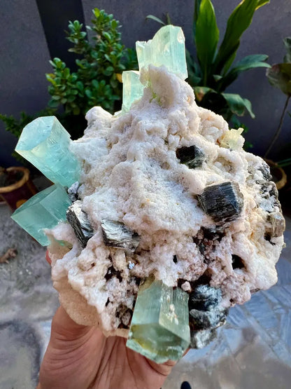 Blue Aquamarine Crystals with Mica and Albite from Pakistan - 680 Grams