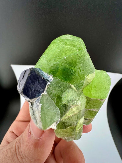 Green Peridot Crystal with Magnetite from Pakistan - 60 Grams