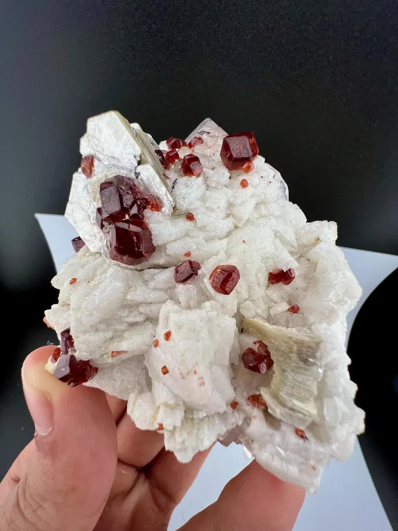 Red Garnet Crystals with Quartz and Mica Specimen from Pakistan - 176 Grams