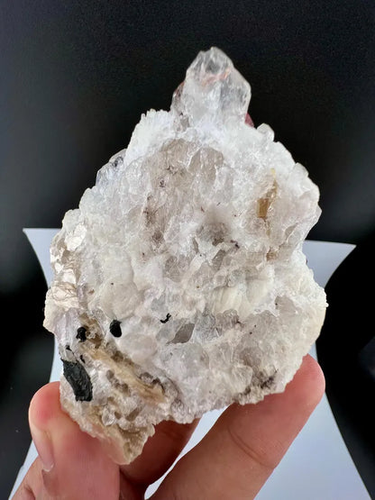 Red Garnet Crystals with Quartz and Mica Specimen from Pakistan - 176 Grams