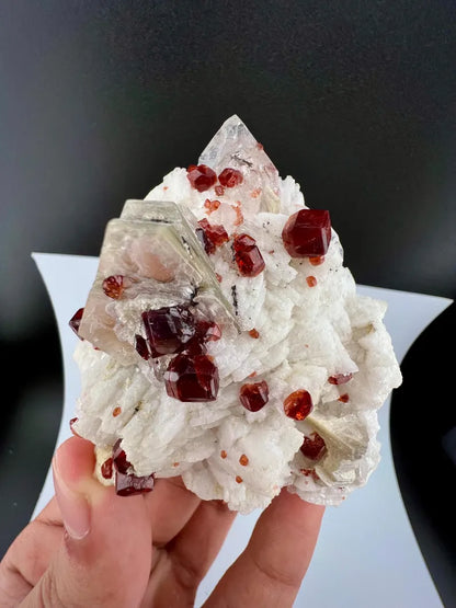 Red Garnet Crystals with Quartz and Mica Specimen from Pakistan - 176 Grams