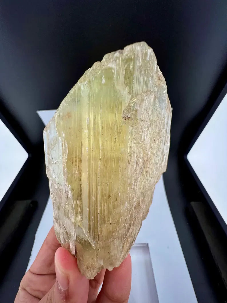 Yellow Triphane Kunzite Crystal from Afghanistan - 411 Grams
