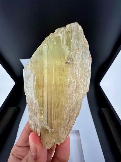 Yellow Triphane Kunzite Crystal from Afghanistan - 411 Grams