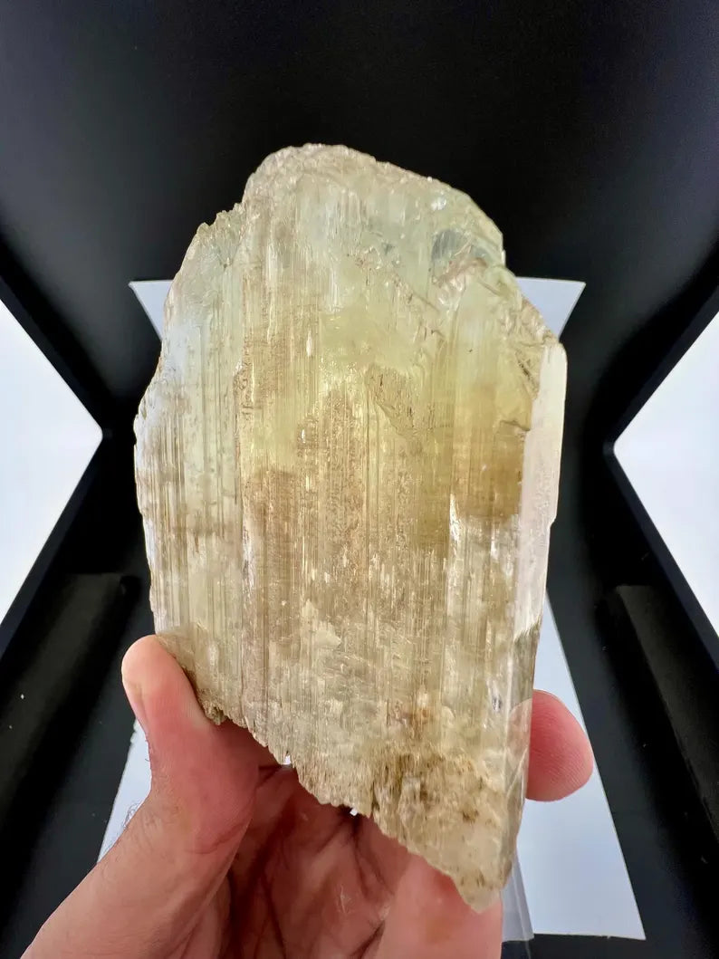 Yellow Triphane Kunzite Crystal from Afghanistan - 411 Grams