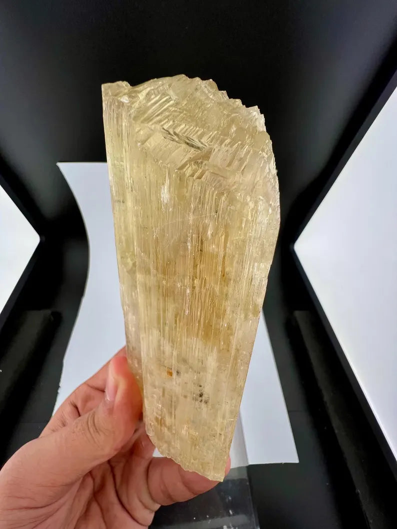 Yellow Triphane Kunzite Crystal from Afghanistan - 668 Grams