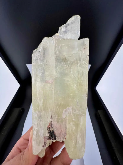 Yellow Triphane Kunzite Crystal from Afghanistan - 590 Grams