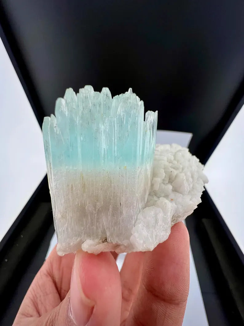 Bicolor AquaMorganite Crystal on Albite from Pakistan - 139 Grams