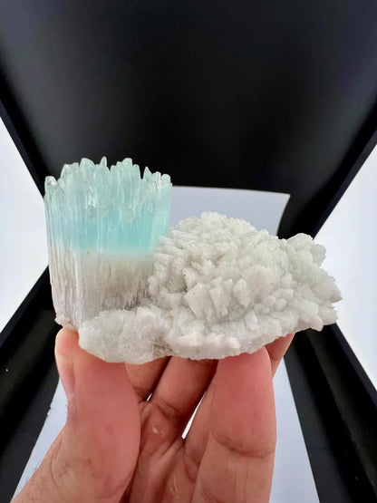Bicolor AquaMorganite Crystal on Albite from Pakistan - 139 Grams