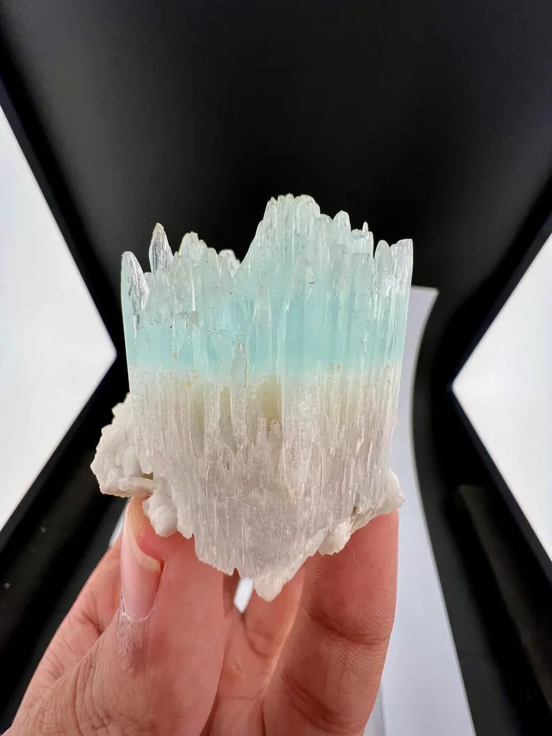 Bicolor AquaMorganite Crystal on Albite from Pakistan - 139 Grams