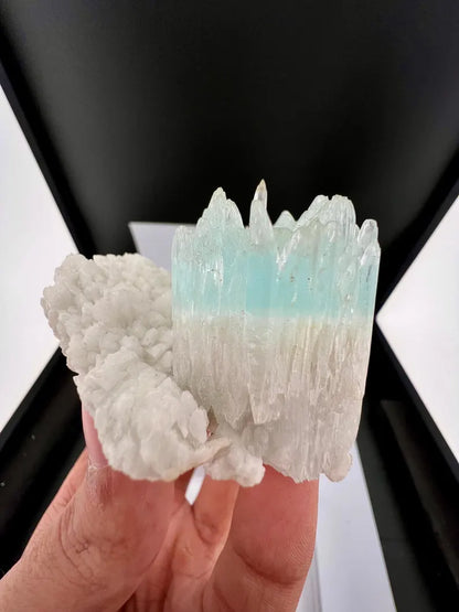 Bicolor AquaMorganite Crystal on Albite from Pakistan - 139 Grams