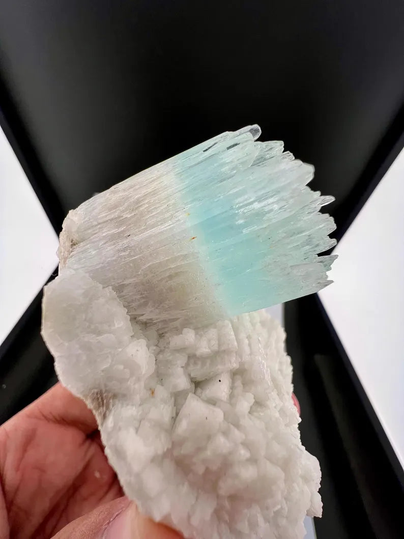 Bicolor AquaMorganite Crystal on Albite from Pakistan - 139 Grams